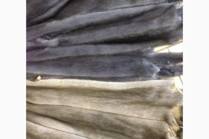 Норка.Шкуры норки- фото № 4