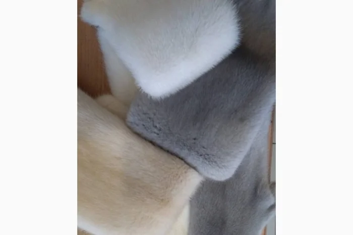 Норка.Шкуры норки- фото № 1