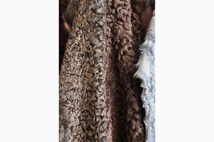 Продаются шкуры каракульчи- фото № 3