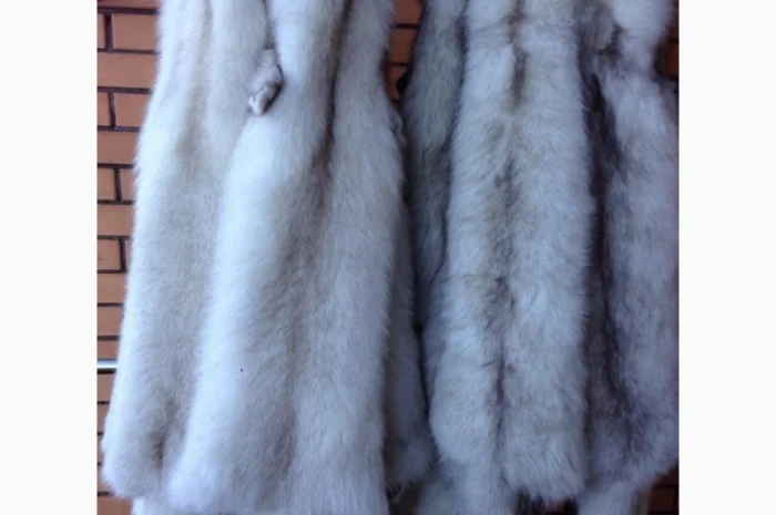 Продаются шкуры песца в различных цветах- фото № 2