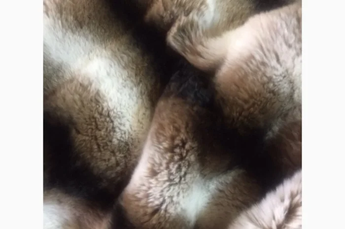 Шкуры кролика рекс - цветные и белые- фото № 2