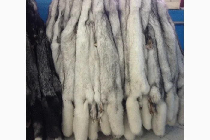 Шкуры вуалевого песца оптом- фото № 1