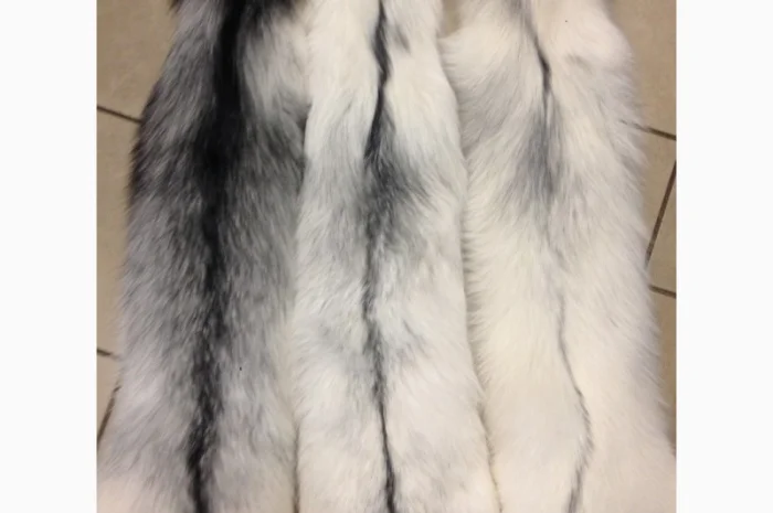 Отбеленные шкуры арктической лисы- фото № 1
