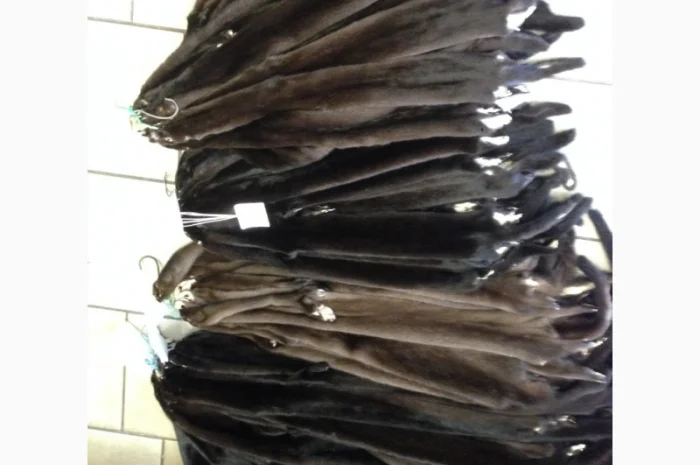 Норка.Шкуры норки для ремонта шуб- фото № 3