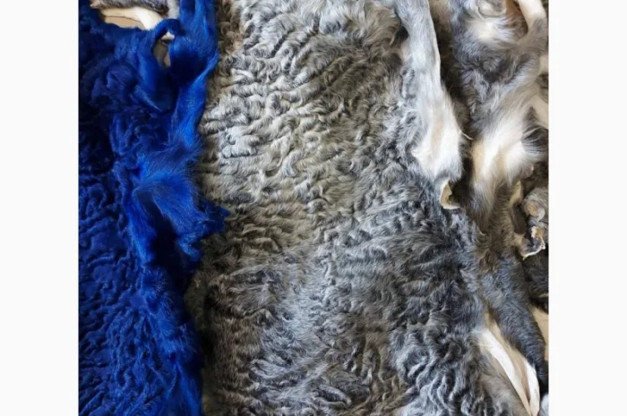 Продаются шкурки каракульчи- фото № 5