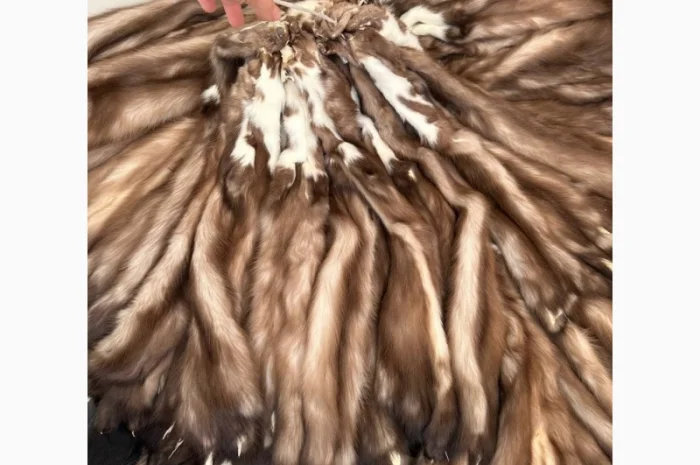 Продаются шкурки куницы и камянки- фото № 2