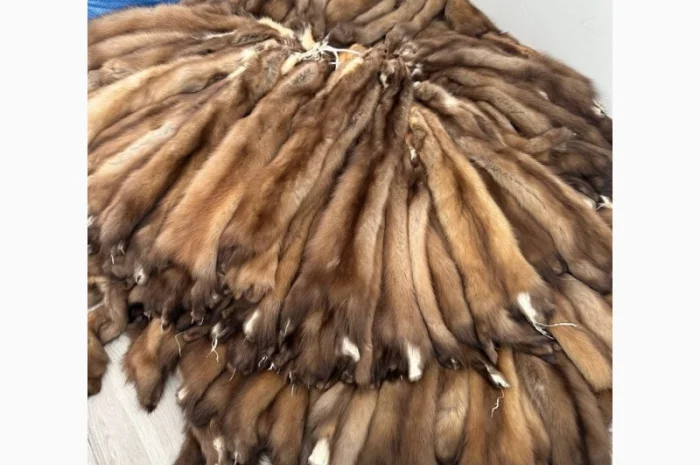 Продаются шкурки куницы и камянки- фото № 5