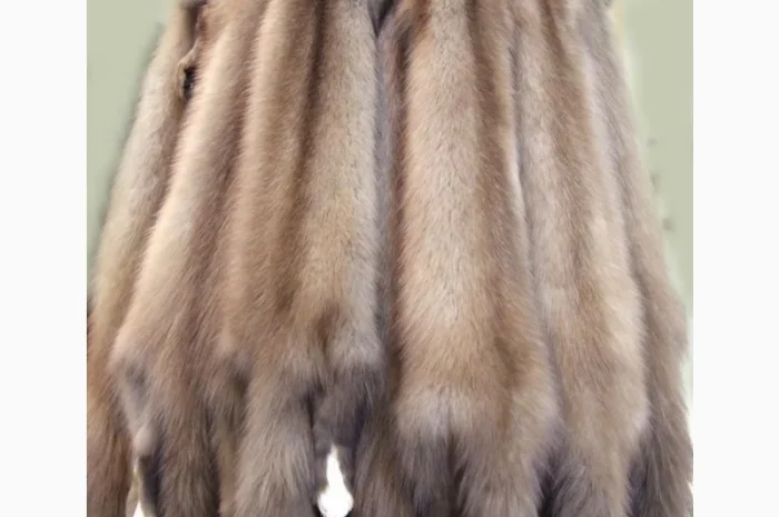 Покупаем шкурки куницы дорого – предложим лучшие цены- фото № 1