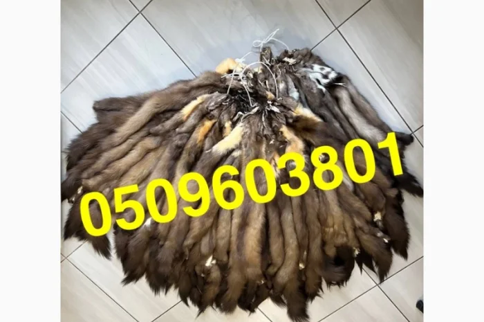 Вичиненные шкурки куницы (заводская вичинка)- фото № 1