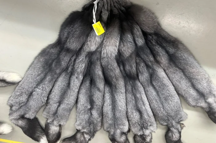 Продается шкуры Блю Фрост различных размеров- фото № 4