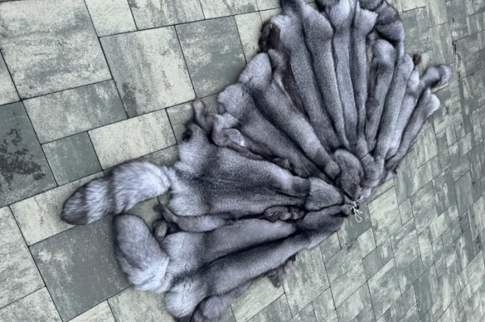 Продается шкуры Блю Фрост различных размеров- фото № 6