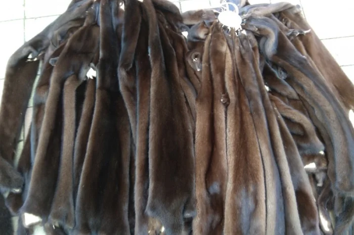 Продажа шкурки норки Браун (ореховый цвет)- фото № 2