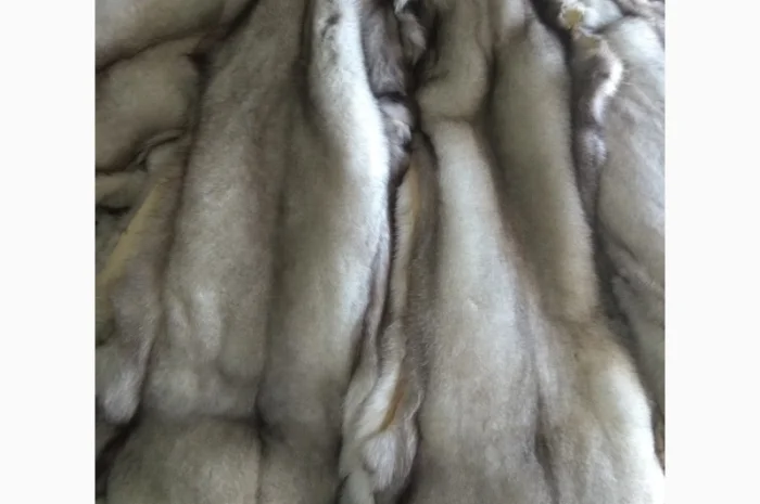 Продам шкурки фінського песця- фото № 2