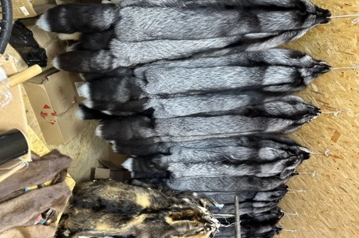 Чёрнобурка Silver Fox – мех в продаже- фото № 4