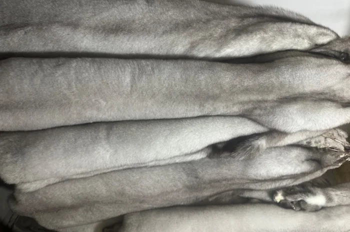 Продаются шкурки финского песца- фото № 3