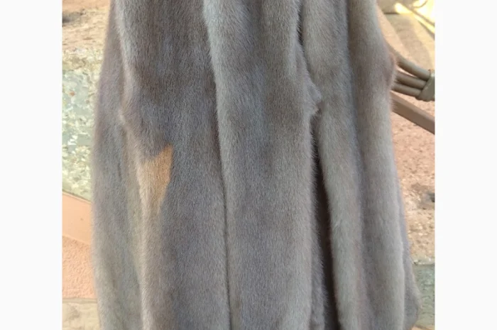 Продается норка сіроголуба (silverblue)- фото № 3