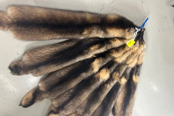 Продаются шкурки Финского енота- фото № 3