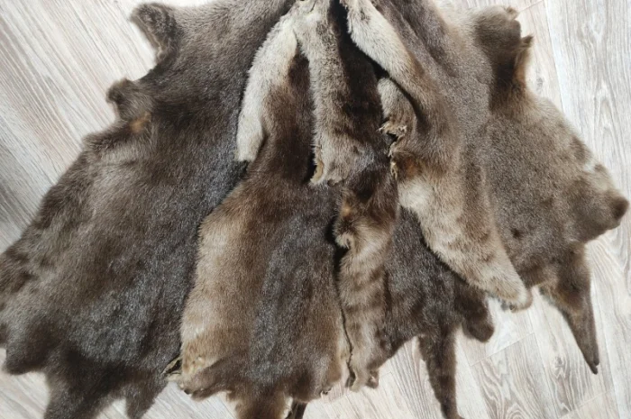 Продаются шкурки лисицы и других животных- фото № 2