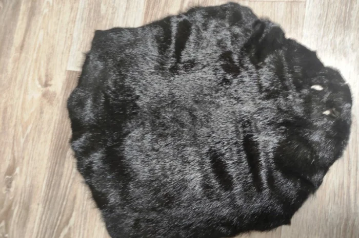 Продам шкіри лисиці, норки, видри і багато інших- фото № 3