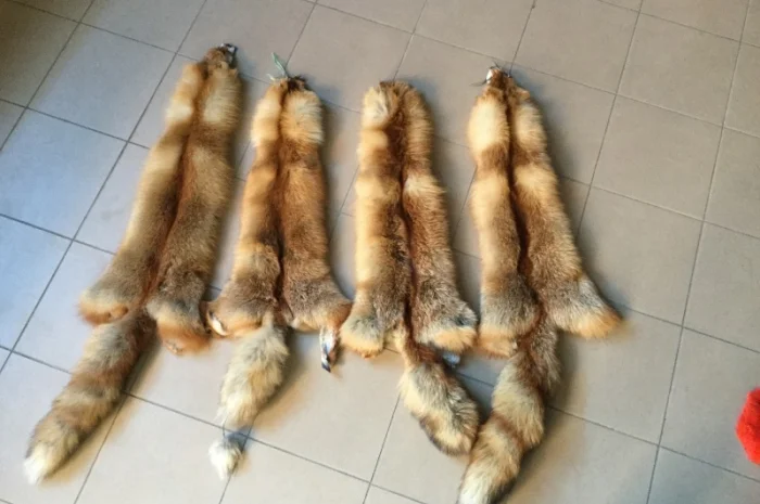 Шкуры лисы- фото № 5