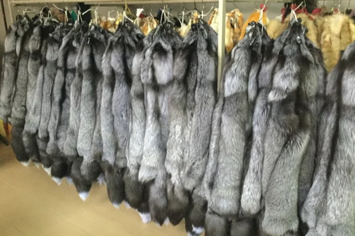 Шкуры чернобурки- фото № 1