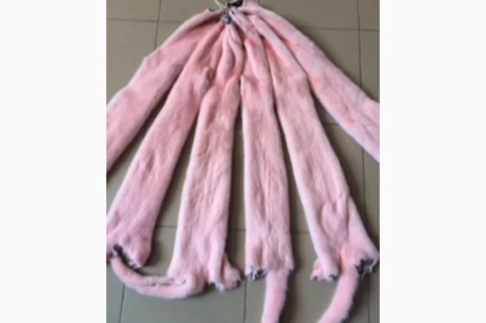 Шкуры норки и других мехов- фото № 4