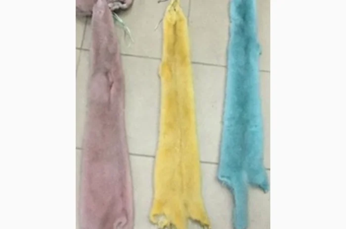 Шкуры норки и других мехов- фото № 7