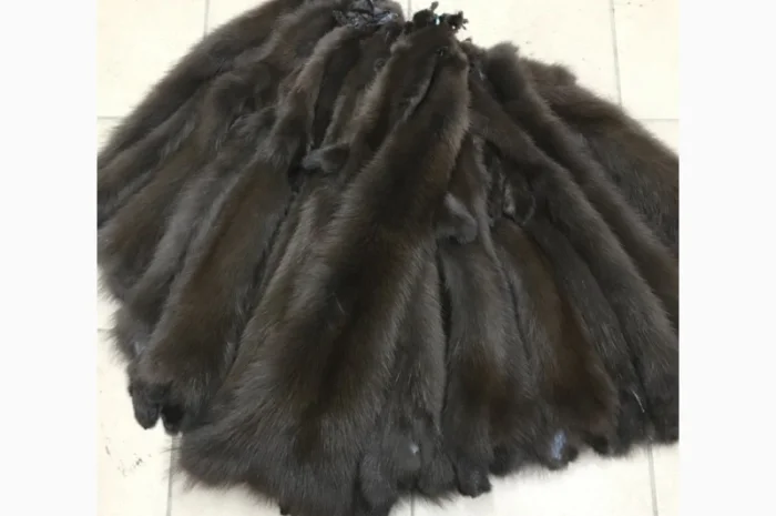Шкуры куницы- фото № 9