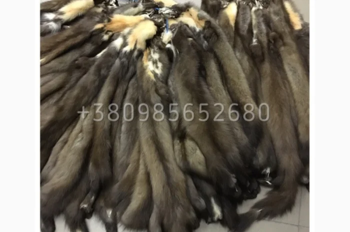 Шкуры куницы- фото № 1