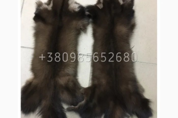 Шкуры куницы- фото № 2