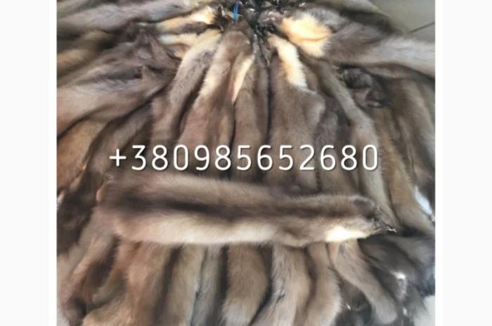 Шкуры куницы- фото № 4