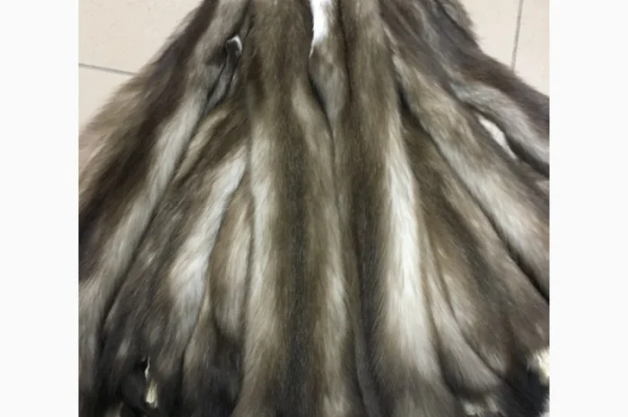 Шкуры куницы- фото № 6