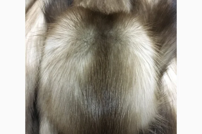 Шкуры куницы- фото № 7