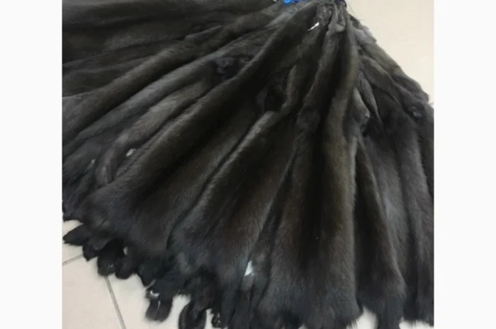 Шкуры соболя мех- фото № 1