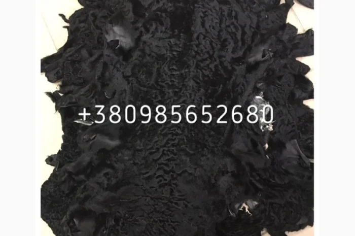 Шкуры мех каракуля- фото № 1