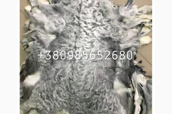 Шкуры мех каракуля- фото № 2