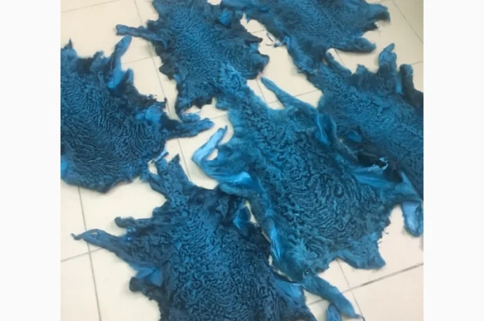 Шкуры мех каракуля- фото № 6