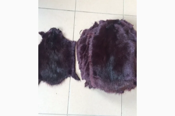 Шкуры и мех: ондатра и натуральный мех- фото № 3