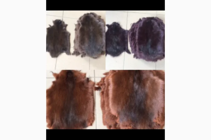 Шкуры и мех: ондатра и натуральный мех- фото № 4