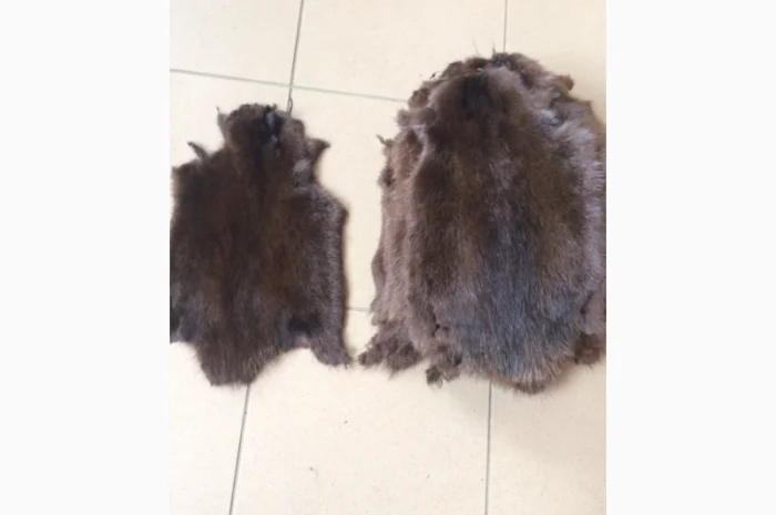 Шкуры и мех: ондатра и натуральный мех- фото № 5