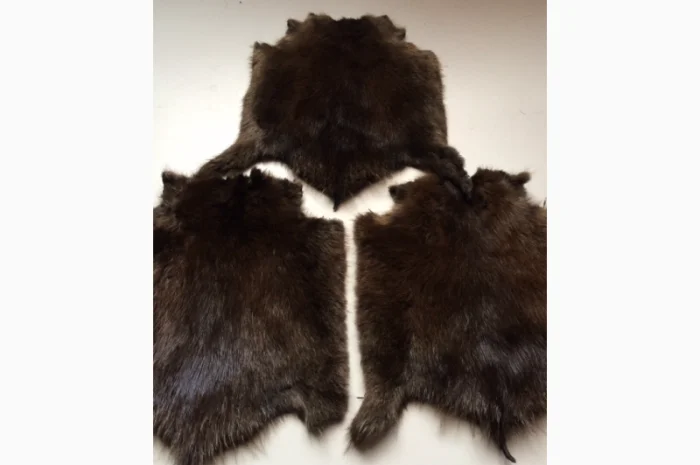 Шкуры и мех: ондатра и натуральный мех- фото № 7