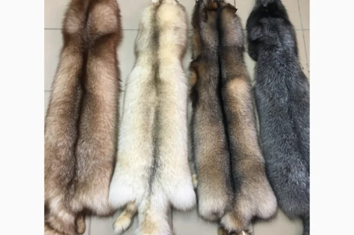 Шкуры мех блюфроста- фото № 10