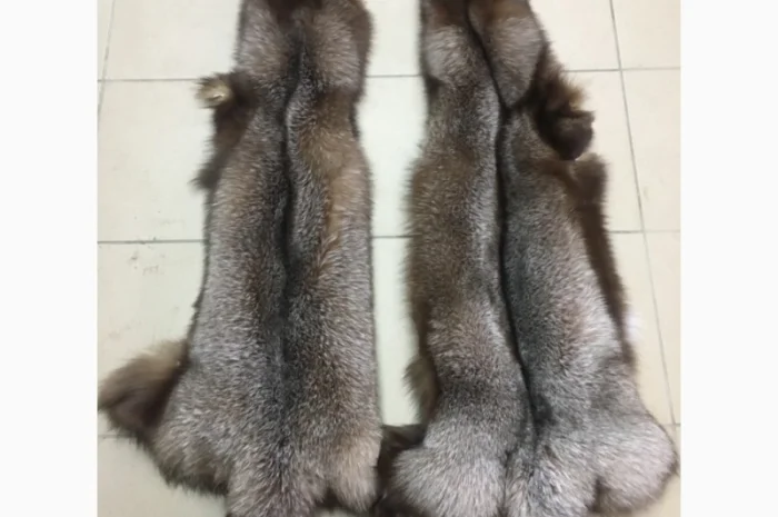 Шкуры мех блюфроста- фото № 14