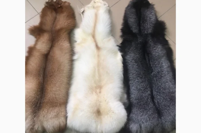 Шкуры мех блюфроста- фото № 3