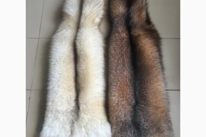 Шкуры мех блюфроста- фото № 8