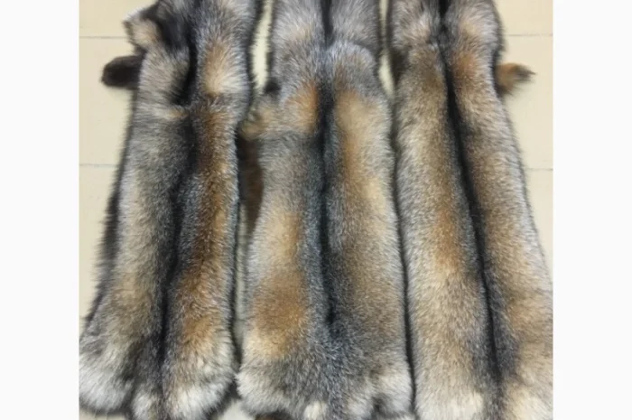 Шкуры мех блюфроста- фото № 9