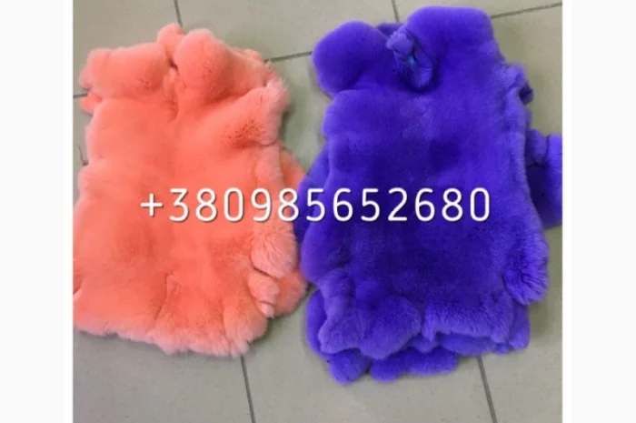 Шкуры Кроля Кролика- фото № 10