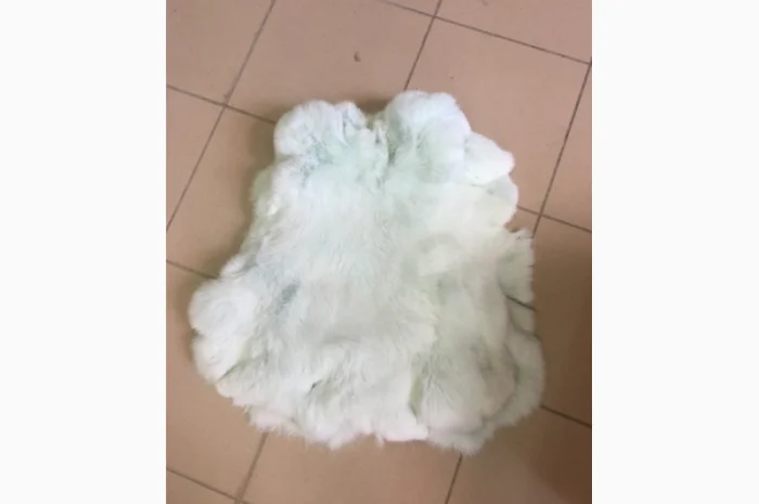 Шкуры кролика и натуральный мех в продаже- фото № 11