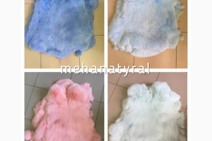 Шкуры Кроля Кролика- фото № 11