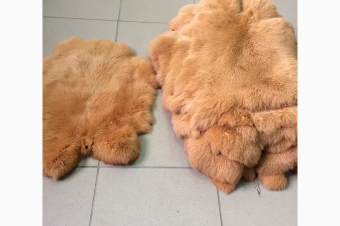 Шкуры Кроля Кролика- фото № 3